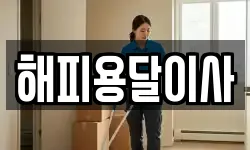 해피용달이사