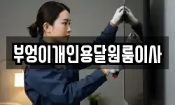 부엉이개인용달원룸이사