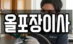올포장이사