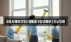 자동차에어컨청소냄새제거실내에바크리닝업체
