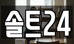 솔트24