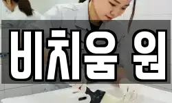 비치움 원