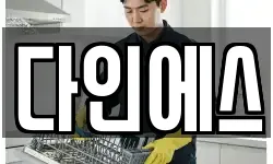 다인에스