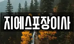 지에스포장이사
