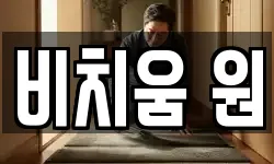비치움 원