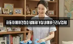 자동차에어컨청소냄새제거실내에바크리닝업체