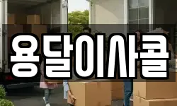 용달이사콜