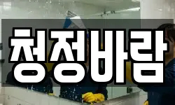 청정바람