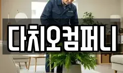 다치오컴퍼니