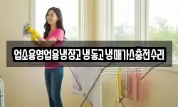 업소용영업용냉장고냉동고냉매가스충전수리