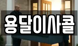 용달이사콜