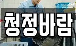 청정바람