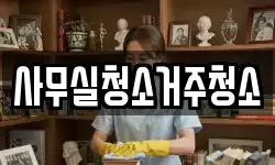 사무실청소거주청소