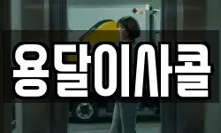 용달이사콜