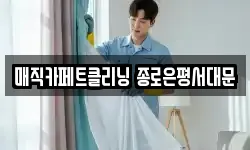 매직카페트클리닝 종로은평서대문