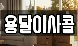 용달이사콜