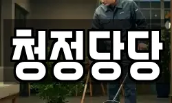 청정당당