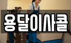 용달이사콜