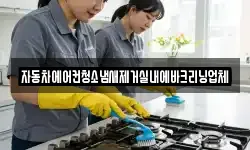 자동차에어컨청소냄새제거실내에바크리닝업체