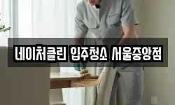 네이처클린 입주청소 서울중앙점