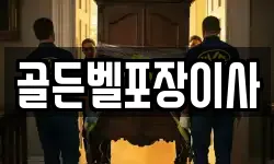 골든벨포장이사