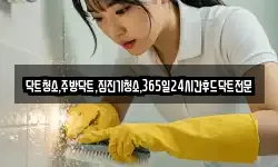 닥트청소,주방닥트,집진기청소,365일24시간후드닥트전문