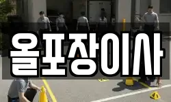 올포장이사