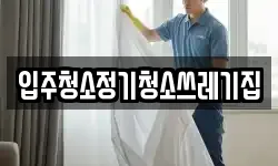입주청소정기청소쓰레기집
