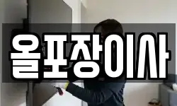 올포장이사