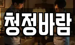 청정바람