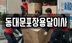 동대문포장용달이사