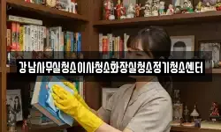 강남사무실청소이사청소화장실청소정기청소센터