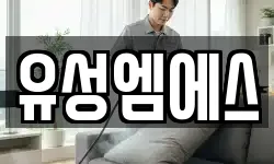 유성엠에스