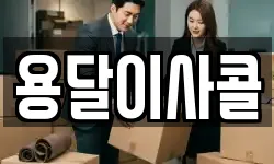 용달이사콜