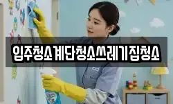 입주청소계단청소쓰레기집청소