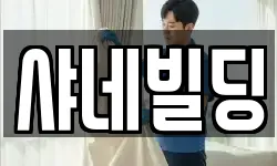 샤네빌딩