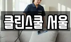 클린스쿨 서울