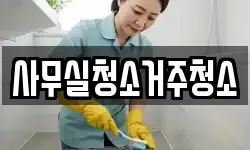 사무실청소거주청소