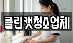클린캣청소업체