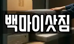 백마이삿짐