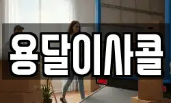 용달이사콜