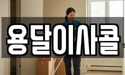 용달이사콜