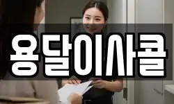 용달이사콜
