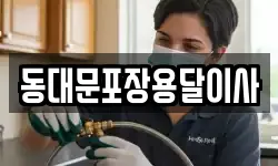 동대문포장용달이사