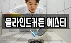 블라인드커튼 에스티