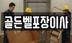 골든벨포장이사