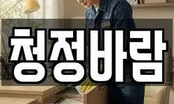 청정바람