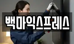 백마익스프레스