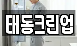 태동크린업