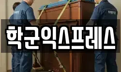 학군익스프레스